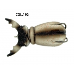 MOLIX   SUPERNATO BEETLE